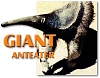 Click image for larger version

Name:	anteater.jpg
Views:	73
Size:	18.7 KB
ID:	15181