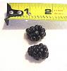 Click image for larger version

Name:	3-quarter inch Dewberries .jpg
Views:	42
Size:	66.1 KB
ID:	452659