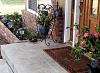 Click image for larger version

Name:	Snake front porch.jpg
Views:	349
Size:	127.5 KB
ID:	589373
